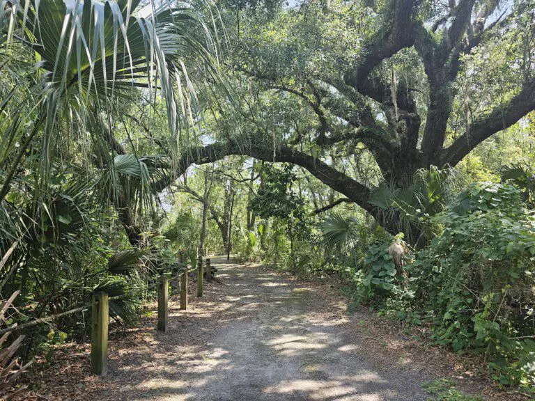 Shingle Creek Regional Park